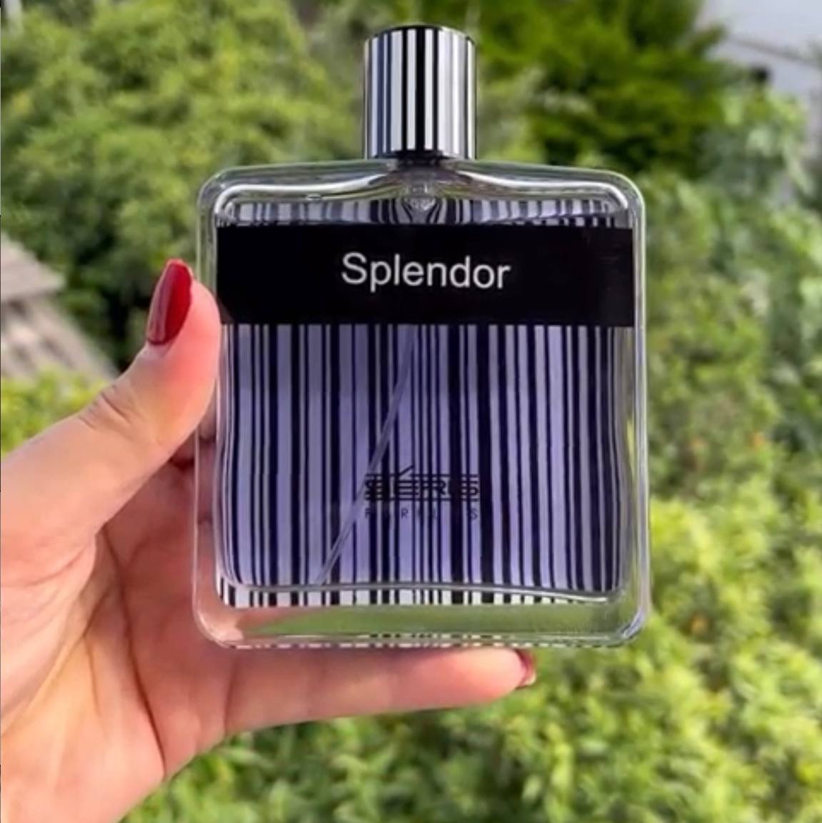 عطر ادکلن سریس اسپلندور Splendor
