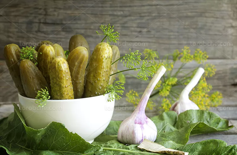 عکس خیارشور با کیفیت | گرافیک با طعم تربچه