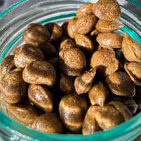 قرص بره موم سلسبیل 100 گرمی