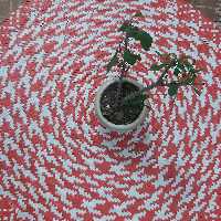 سفره ی تسمه ای