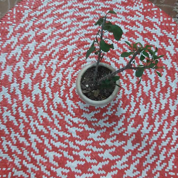 سفره ی تسمه ای