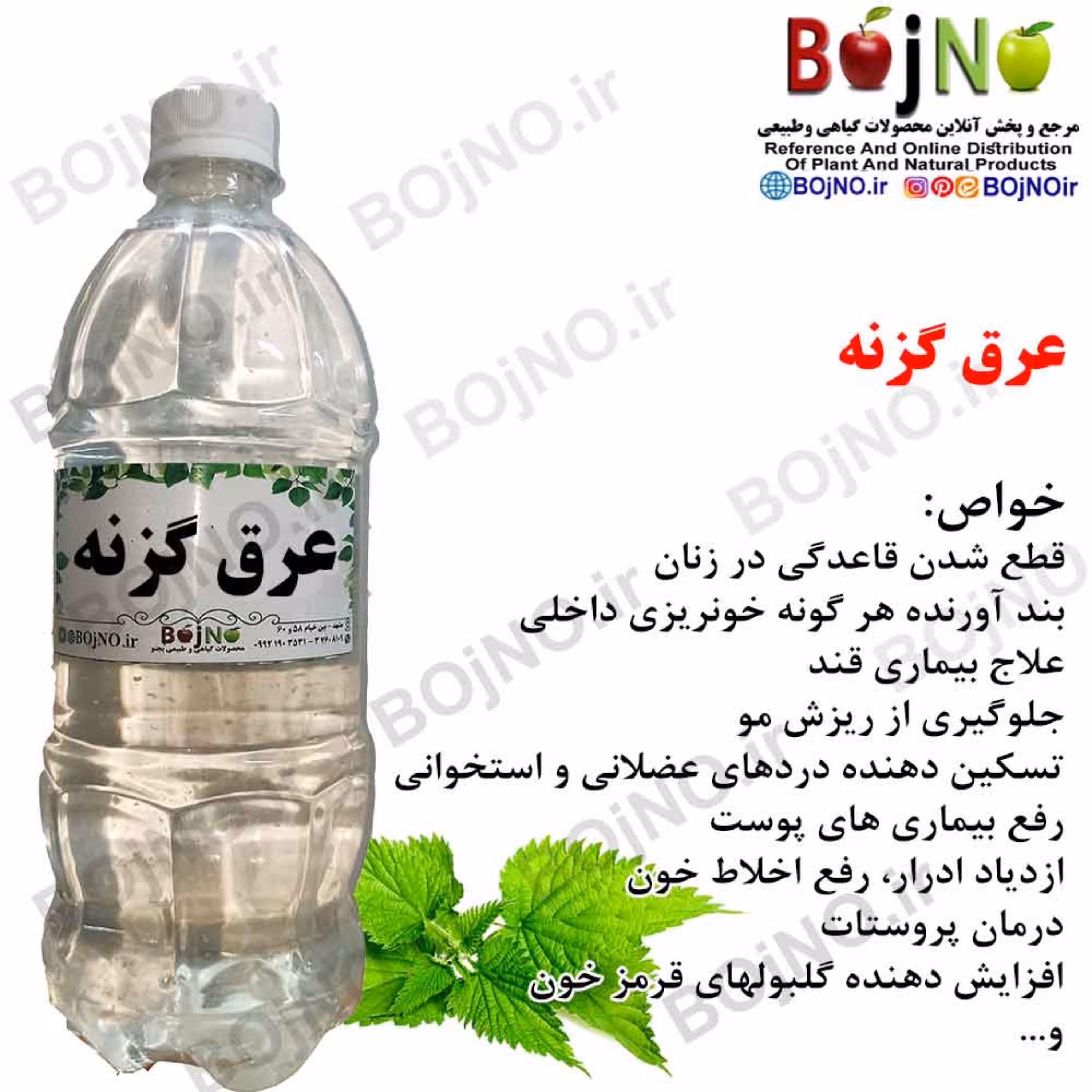 عرق گزنه سنتی گیاهیس (آب چشمه)