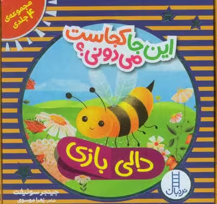 کیف کتاب دالی بازی این جا کجاست می دونی؟ (4جلدی،باجعبه)