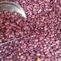 لوبیا قرمز خوش پخت درجه یک در بسته بندی یک کیلویی