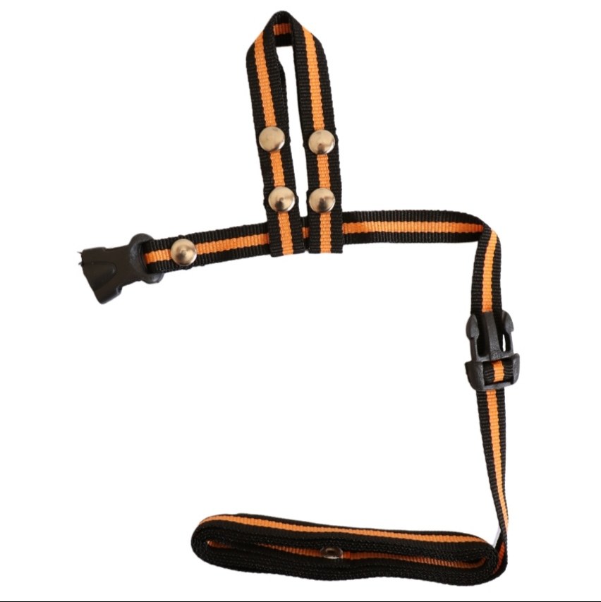 قلاده پرنده سایز کوچک کد 5