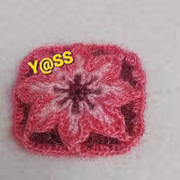 اسکاج گل ستاره