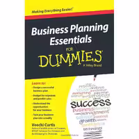 کتاب زبان اصلی Business Planning Essentials For Dummies اثر Veechi Curtis