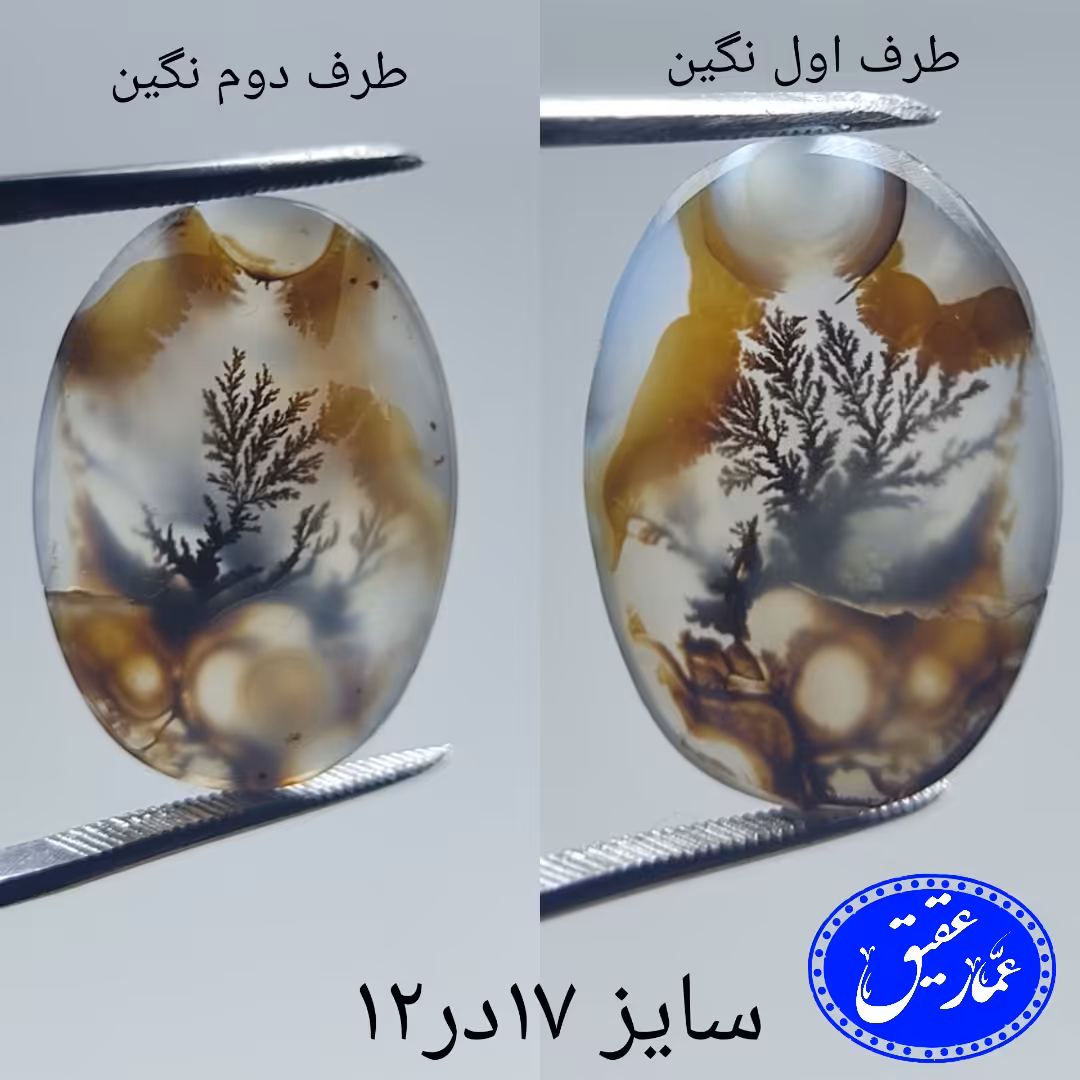 نگین عقیق شجر قائن دو رو