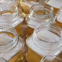 قارچ کامبوجای جوان 3 عدد در مجموع( 100 گرمی) به همراه استارتر ، به همراه 2 عدد قارچ هدیه