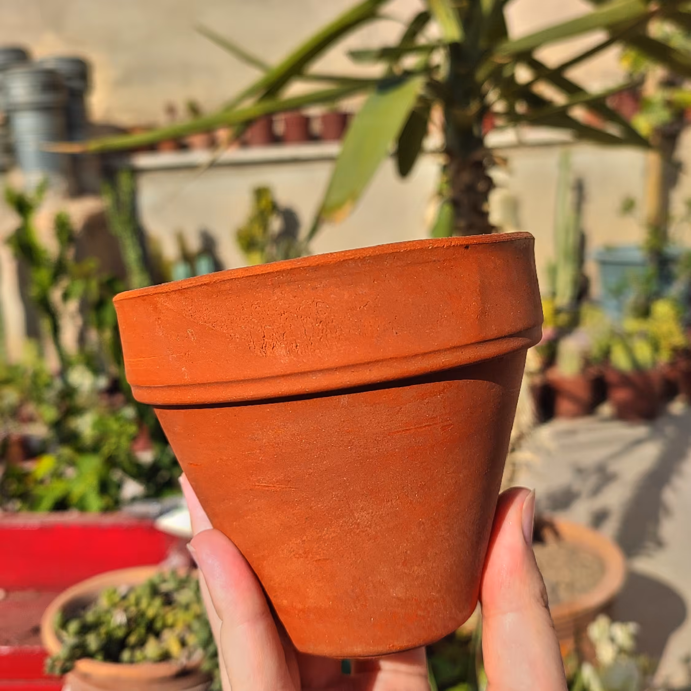 گلدون سفال آلمانی سایز12