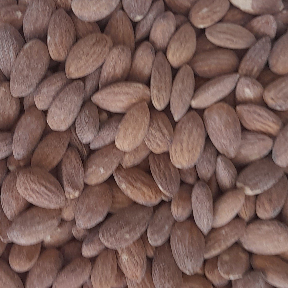 مغز بادام درختی تنوری - 5000 گرمی - ارسال رایگان