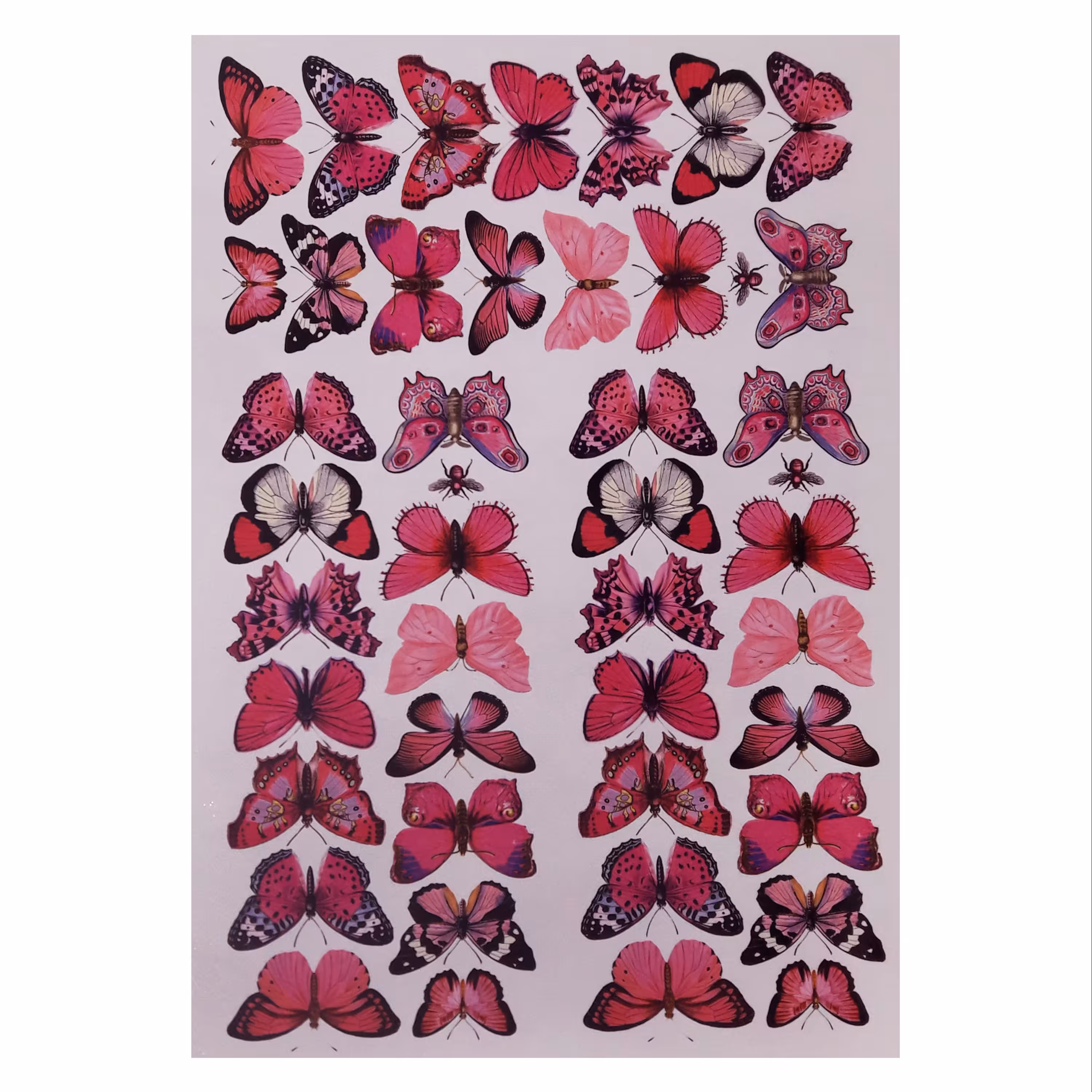 ترنسفر طرح پروانه رویایی ابعاد 30در 40 سانتی متر