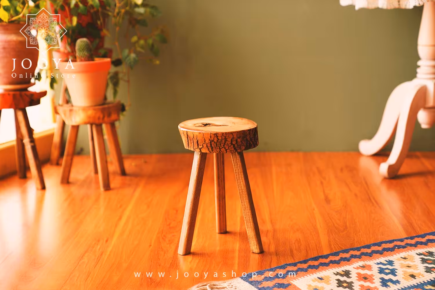 استند چوبی پاردیس