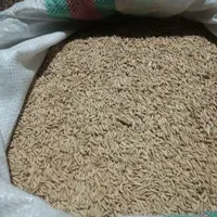 برنج طارم هاشمی اعلاء کشت دوم فریدونکنار سورت شده برجسته 10 کیلویی