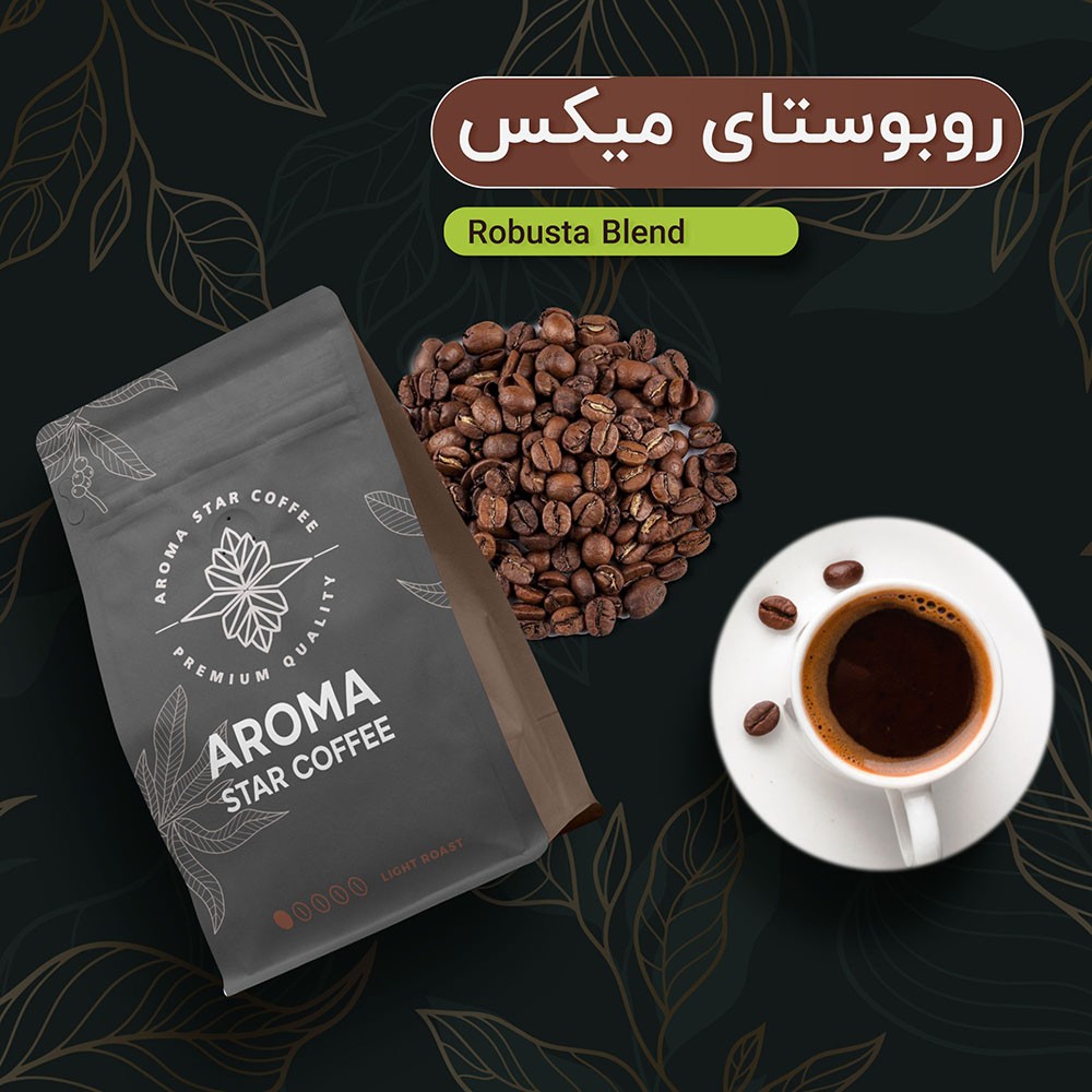 روبوستای میکس