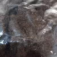 گزانگبین فولادی 