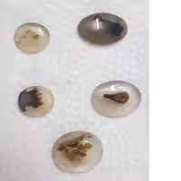 نگین عقیق شجر خوش رنگ و رگه دار