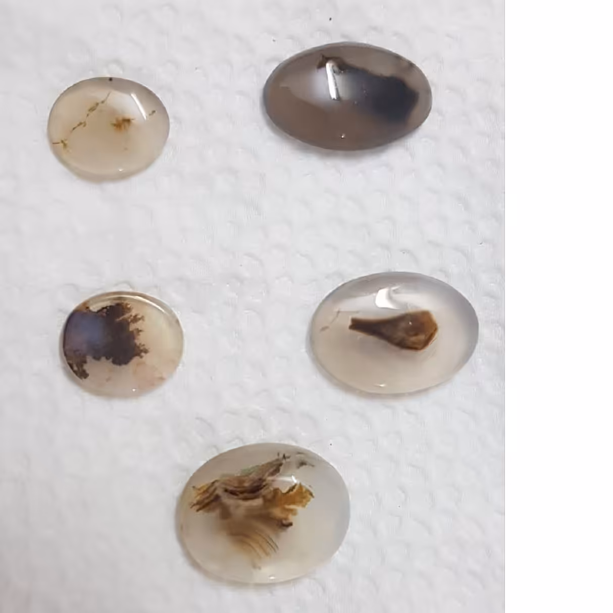 نگین عقیق شجر خوش رنگ و رگه دار