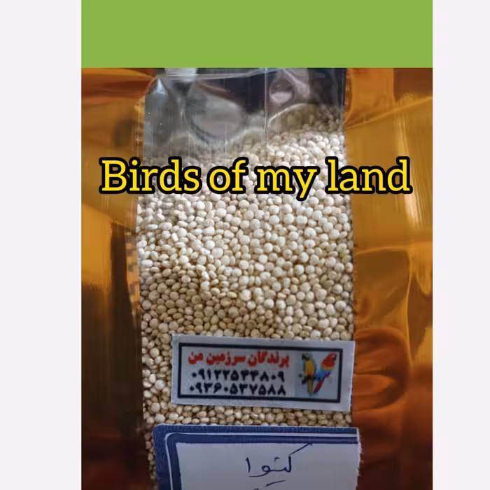 کینوا 100گرم درجه یک 