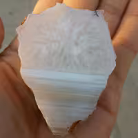 اسلایس سنگ راف عقیق سلیمانی 3 بعدی خطی منظم محشر 100 در 100 طبیعی شاهکار خلقت دیدنی
باقابلیت ساخت چند نگین دیدنی کد 6748