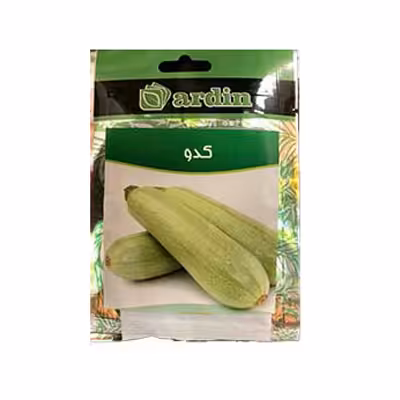 بذر کدو آردین