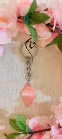 جا سوئیچی صدفی