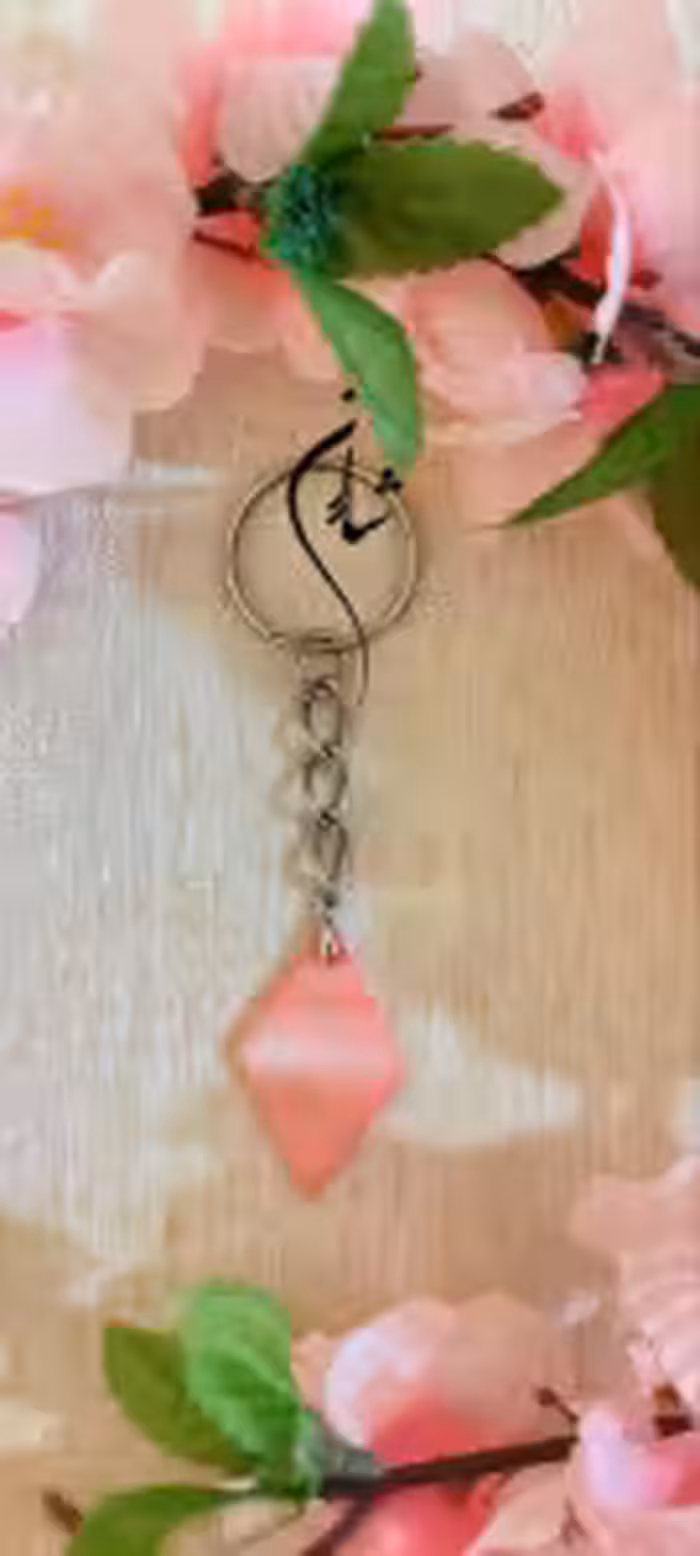 جا سوئیچی صدفی