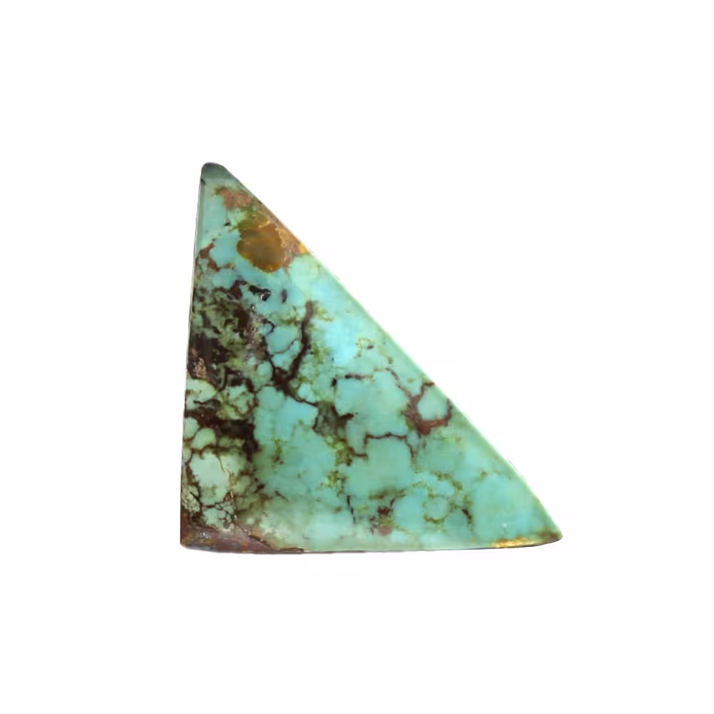 فیروزه نیشابوری code 5864