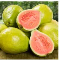 گواوا عمده ده کیلویی