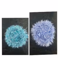 اسکاج  بافتنی