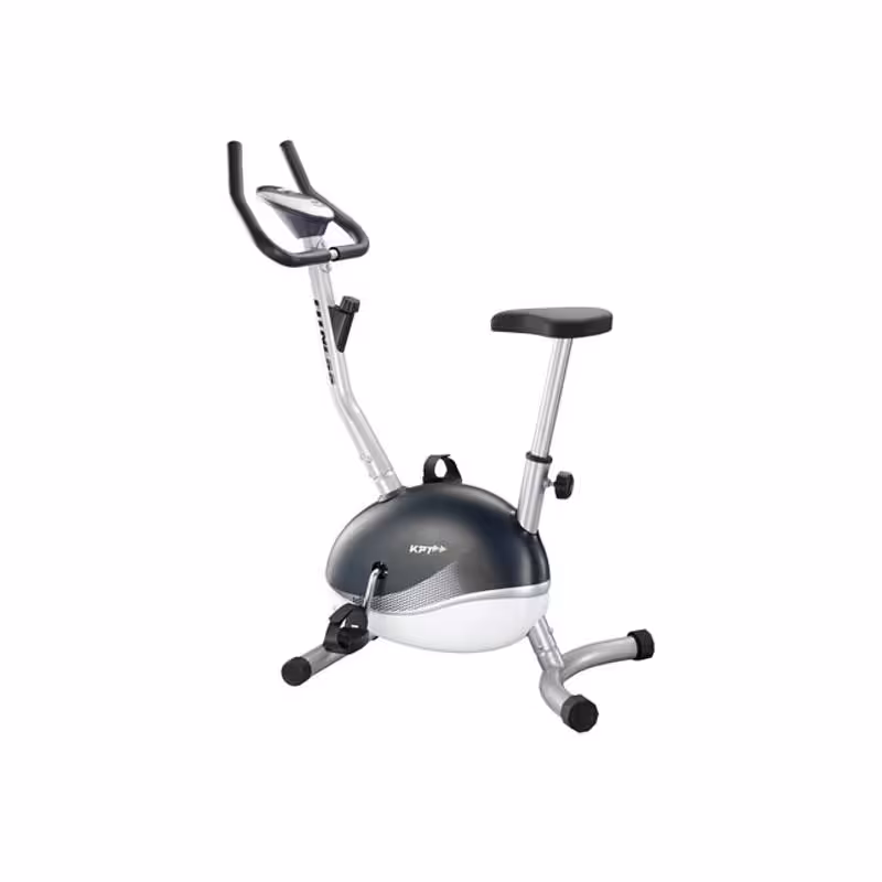 دوچرخه ثابت فلکسی فیت 22300