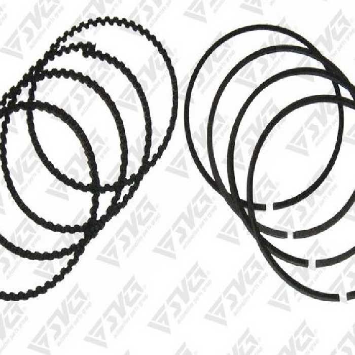 سری رینگ موتور 100 نیسان عظام