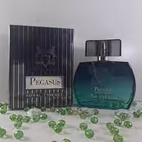 عطر و ادکلن مردانه پگاسوس حجم 75 میل