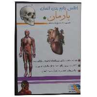 نرم افزار آموزش کودکان   اطلس جامع بدن انسان   مدلB -17