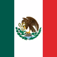 دان قهوه مکزیک اسپشیالیتی وراکروز  500 گرمی