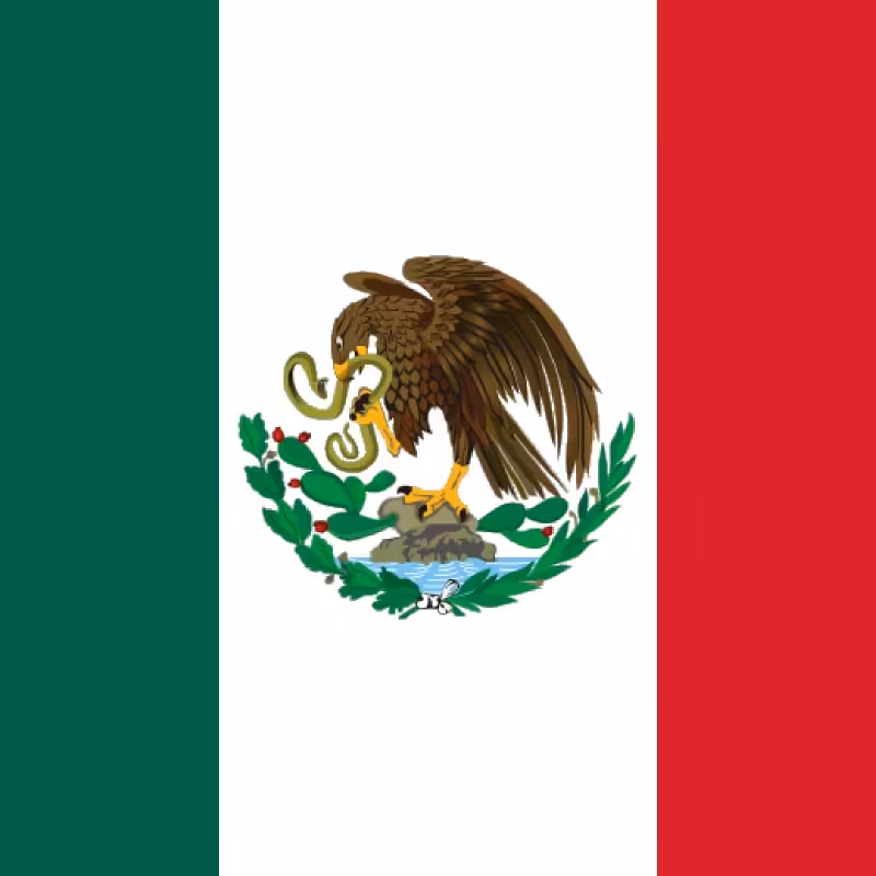 دان قهوه مکزیک اسپشیالیتی وراکروز  500 گرمی