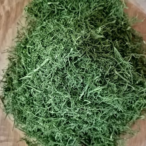 شوید خشک درجه یک تازه و معطر