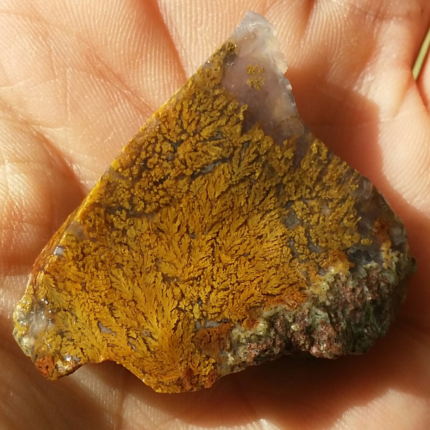 سنگ راف شجر پاییزی محشر با شجر هایی بسیار واضح و خاص 100درصد طبیعی بی نظیییر