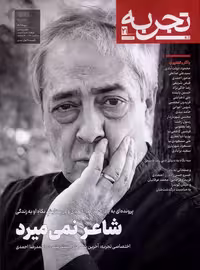 مجله تجربه 21 فرهنگ و هنر و ادبیات دیبایه