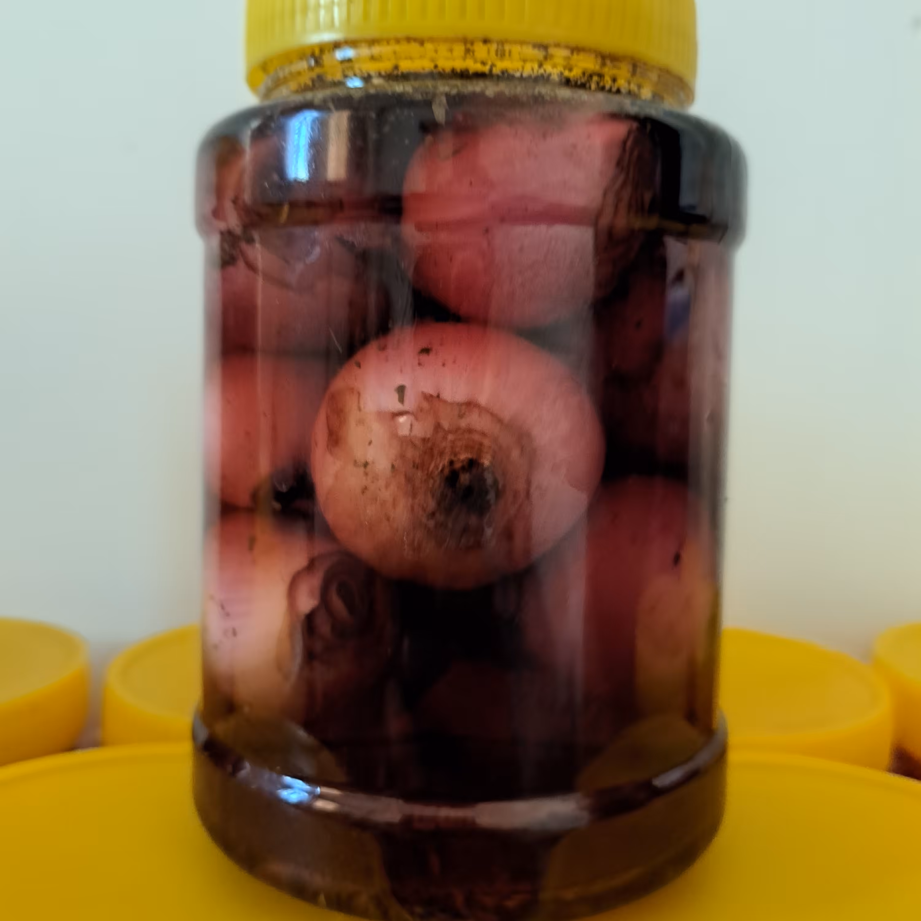 ترشی پیاز1 کیلویی خانگی