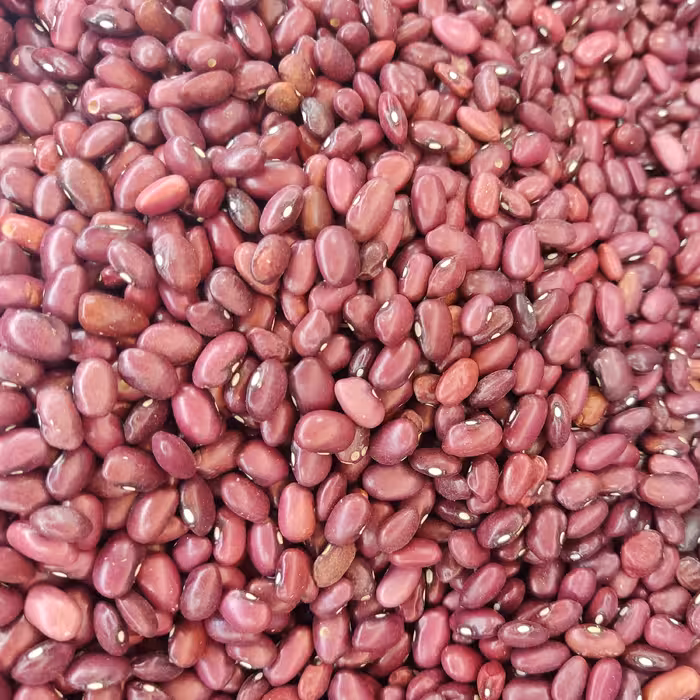 لوبیا قرمز دستچین و پولیش خورده ممتاز یک کیلوگرم