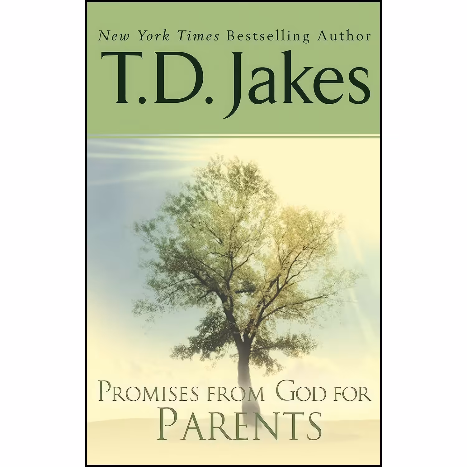 کتاب زبان اصلی Promises from God for Parents اثر T D Jakes
