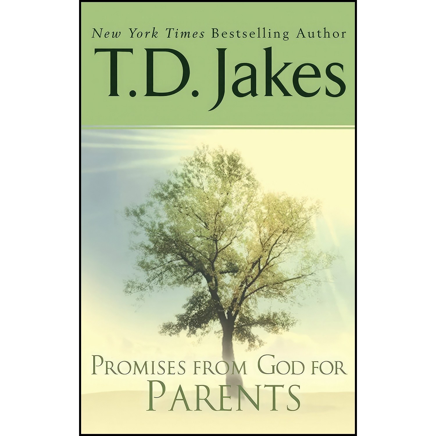 کتاب زبان اصلی Promises from God for Parents اثر T D Jakes