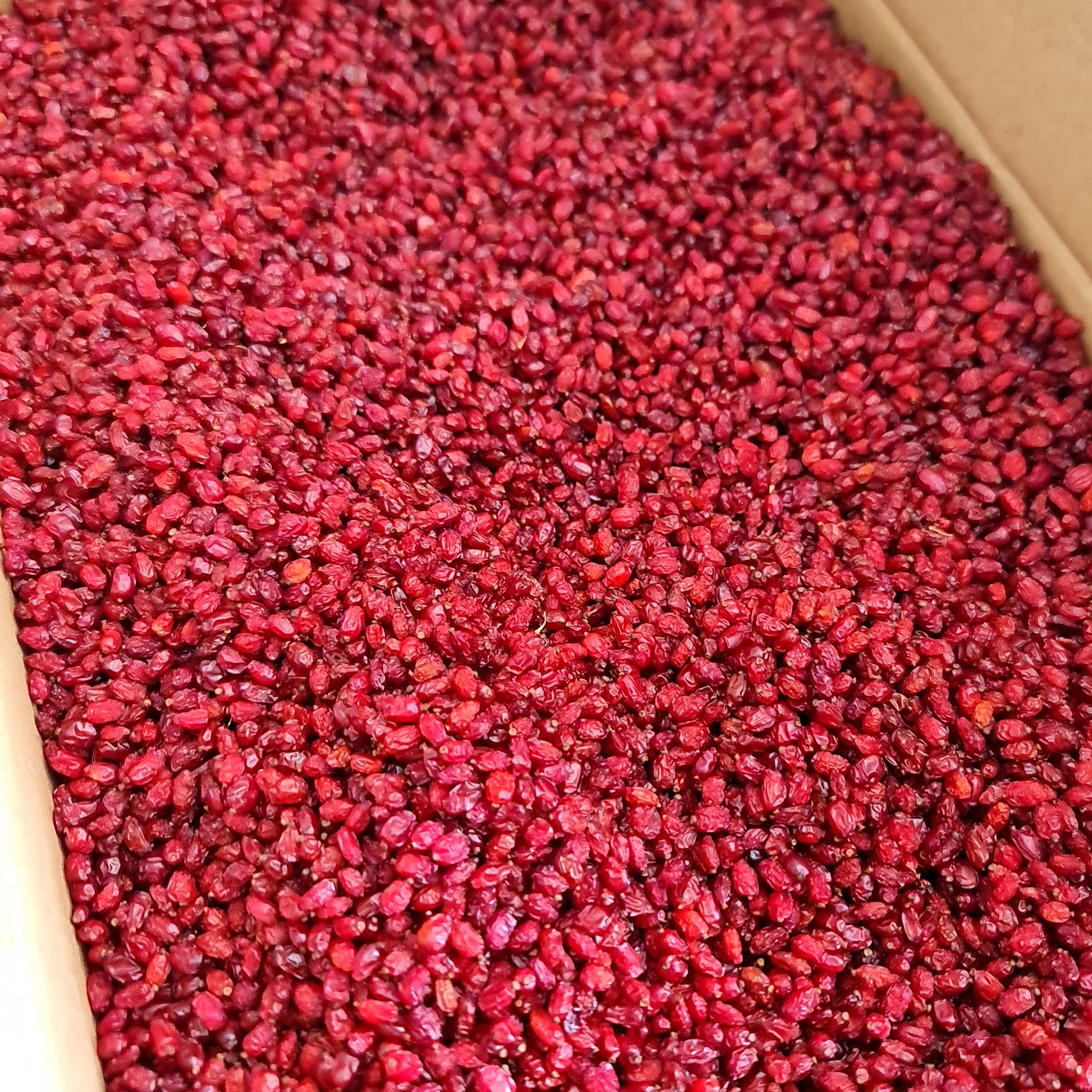 زرشک پفکی اعلا