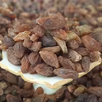 مویز طبیعی هسته دار گوشتی انگور قرمز ( 2 کیلو گرم )