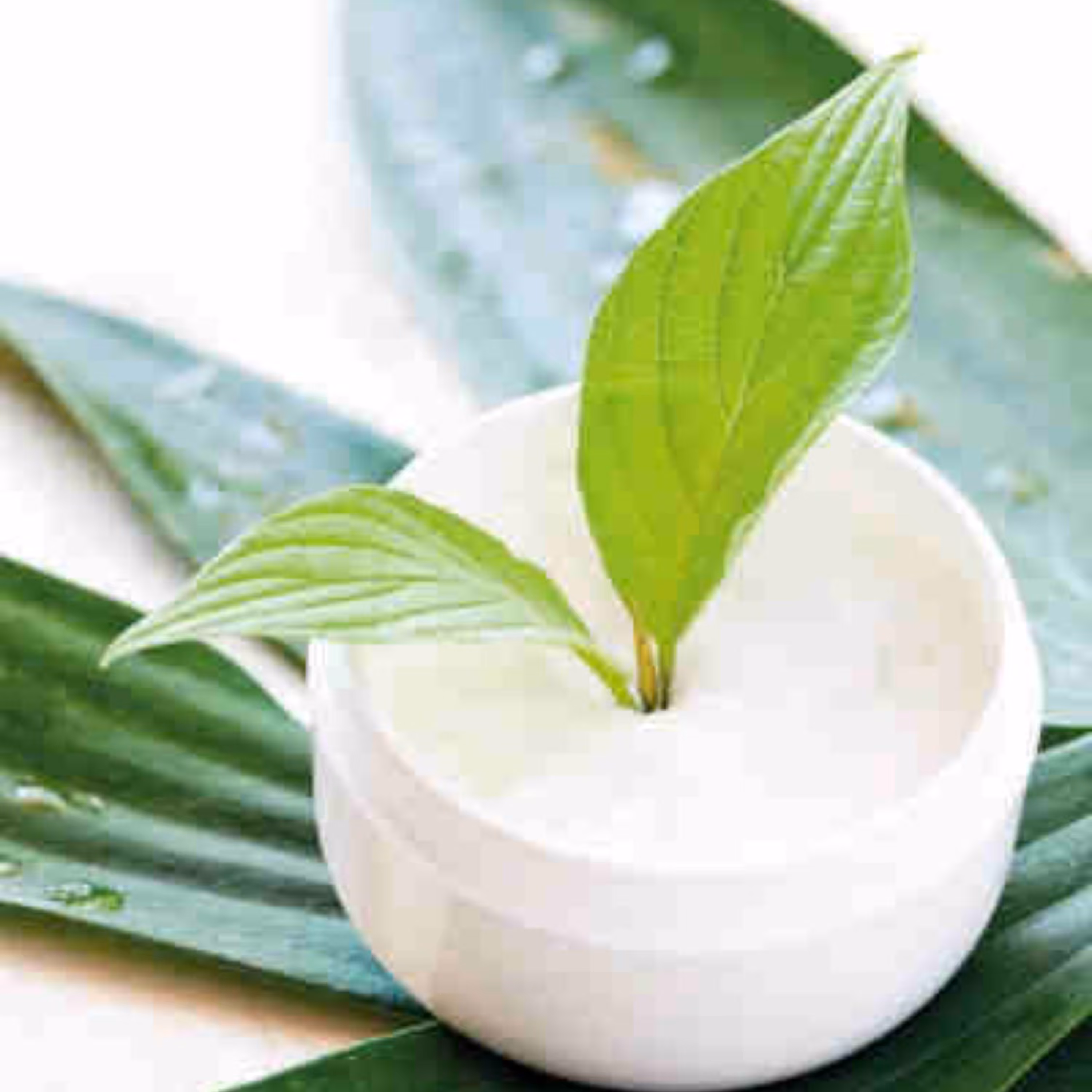 کرم گیاهی آبرسان و مرطوب کننده پوست صورت 50گرمی