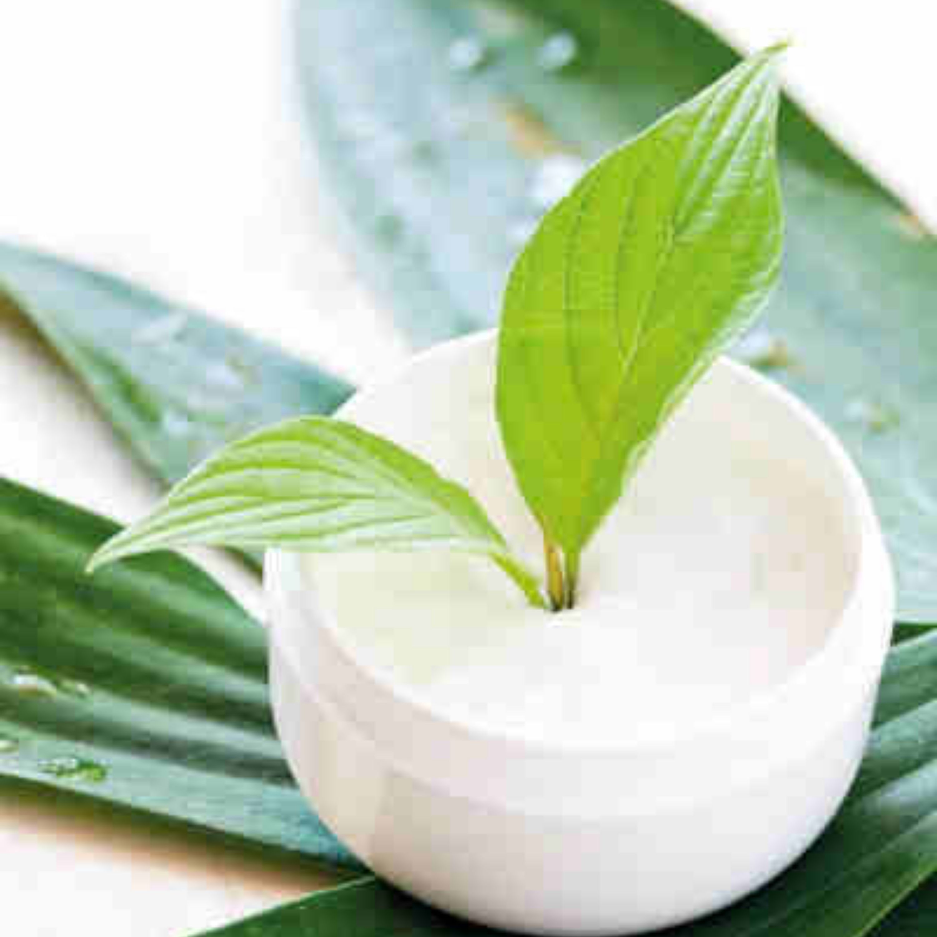 کرم گیاهی آبرسان و مرطوب کننده پوست صورت 50گرمی