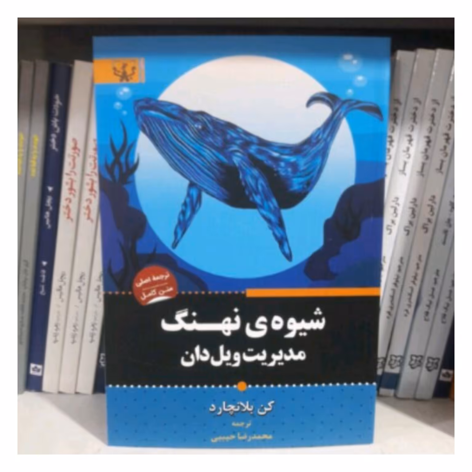 کتاب شیوه نهنگ مدیریت ویل دان