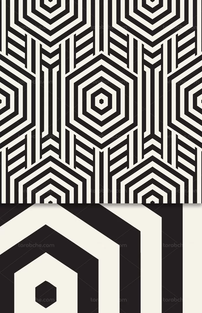 وکتور طرح پترن سیاه و سفید شش ضلعی | گرافیک با طعم تربچه