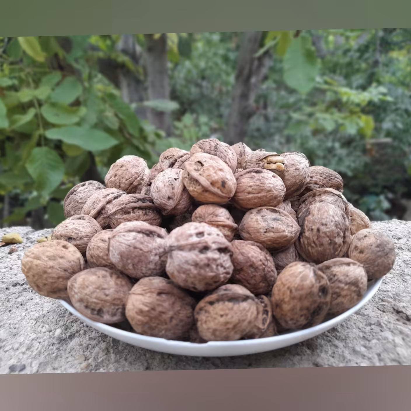 گردو پوست کاغذی (500g)